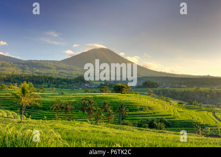 L'INDONÉSIE, Bali, Montagnes, rizières de Jatiluwih (UNESCO Site) avec Mt. Pohen en arrière-plan Banque D'Images