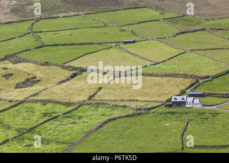 L'Irlande, dans le comté de Cork, Péninsule de Beara, anneau de Beara, Cahermore, paysage Banque D'Images