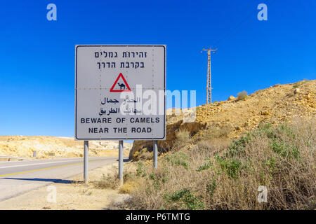 Panneau d'avertissement trilingue, méfiez-vous des chameaux près de la route, dans le désert du Néguev, dans le sud d'Israël Banque D'Images