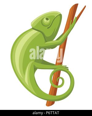Caméléon Cartoon grimper sur branche. Petit lézard vert. Chameleon logo design, l'icône de télévision. Vector illustration isolé sur fond blanc. Illustration de Vecteur
