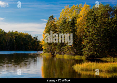 L'automne le long d'une rivière lente. Banque D'Images