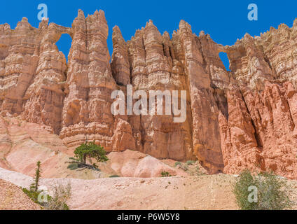 Jusqu'à à mur de fenêtres de la Peekaboo trail dans le Parc National de Bryce Canyon. Banque D'Images