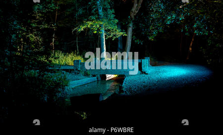 Photographie de nuit et flux bridge au milieu des bois peint avec la lumière bleue pendant une longue exposition. Banque D'Images