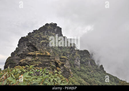 Tongren, Tongren, Chine. 3 juillet, 2018. Tongren, CHINE-Fanjing Mountain, situé à Tongren, dans la province du Guizhou en Chine du sud-ouest, a été ajouté à la liste du patrimoine naturel à la 42e session du Comité du patrimoine mondial à Manama, Bahreïn.Fanjing Mountain est à la maison à une variété d'animaux sauvages. En ce moment, 31 plantes menacées et 19 espèces animales menacées vivent dans cette zone protégée. La Chine a maintenant 53 sites inscrits sur la liste du patrimoine mondial de l'UNESCO. Crédit : SIPA Asie/ZUMA/Alamy Fil Live News Banque D'Images