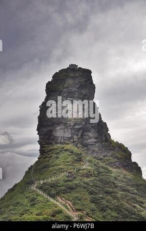 Tongren, Tongren, Chine. 3 juillet, 2018. Tongren, CHINE-Fanjing Mountain, situé à Tongren, dans la province du Guizhou en Chine du sud-ouest, a été ajouté à la liste du patrimoine naturel à la 42e session du Comité du patrimoine mondial à Manama, Bahreïn.Fanjing Mountain est à la maison à une variété d'animaux sauvages. En ce moment, 31 plantes menacées et 19 espèces animales menacées vivent dans cette zone protégée. La Chine a maintenant 53 sites inscrits sur la liste du patrimoine mondial de l'UNESCO. Crédit : SIPA Asie/ZUMA/Alamy Fil Live News Banque D'Images