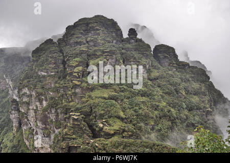 Tongren, Tongren, Chine. 3 juillet, 2018. Tongren, CHINE-Fanjing Mountain, situé à Tongren, dans la province du Guizhou en Chine du sud-ouest, a été ajouté à la liste du patrimoine naturel à la 42e session du Comité du patrimoine mondial à Manama, Bahreïn.Fanjing Mountain est à la maison à une variété d'animaux sauvages. En ce moment, 31 plantes menacées et 19 espèces animales menacées vivent dans cette zone protégée. La Chine a maintenant 53 sites inscrits sur la liste du patrimoine mondial de l'UNESCO. Crédit : SIPA Asie/ZUMA/Alamy Fil Live News Banque D'Images