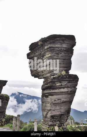 Tongren, Tongren, Chine. 3 juillet, 2018. Tongren, CHINE-Fanjing Mountain, situé à Tongren, dans la province du Guizhou en Chine du sud-ouest, a été ajouté à la liste du patrimoine naturel à la 42e session du Comité du patrimoine mondial à Manama, Bahreïn.Fanjing Mountain est à la maison à une variété d'animaux sauvages. En ce moment, 31 plantes menacées et 19 espèces animales menacées vivent dans cette zone protégée. La Chine a maintenant 53 sites inscrits sur la liste du patrimoine mondial de l'UNESCO. Crédit : SIPA Asie/ZUMA/Alamy Fil Live News Banque D'Images