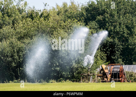 Burscough, Lancashire. Météo britannique. 03/07/2018. Cercle de l'irrigation ou l'irrigation à pivot central avec les agriculteurs d'arroser les cultures desséchées et des nouvelles rubriques. L'eau est fournie à partir de la proximité de Leeds Liverpool canal et pompé dans le pulvérisateur par tracteur. /AlamyLiveNews MediaWorldImages : crédit. Banque D'Images