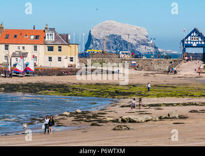 West bay beach, North Berwick, East Lothian, Ecosse, Royaume-Uni, 3 juillet 2018. La canicule en Ecosse se poursuit. Famille marcher sur la plage avec le Bass Rock, la plus grande colonie de fous de bassan et blanc étincelant de Bassan nicheurs dans l'arrière-plan Banque D'Images