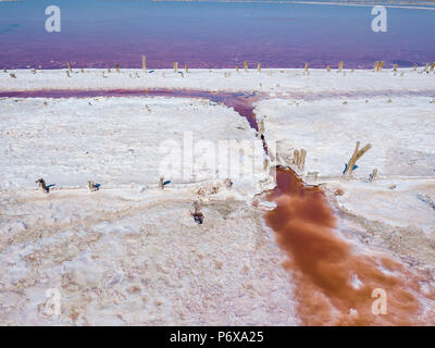 Vue depuis le haut de l'allégement de la Lac Sivash sel rose et la production de sel et de boue thérapeutique.L'Ukraine région de Kherson Banque D'Images