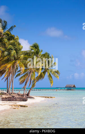 Cuba Jardines del Rey, Cayo Guillermo, Playa El Paso, des palmiers sur la plage de sable blanc Banque D'Images