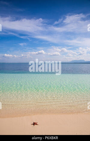 Cuba, Pinar del RÃ-o Province, Cayo Levisa, étoiles de mer sur la plage de sable blanc Banque D'Images