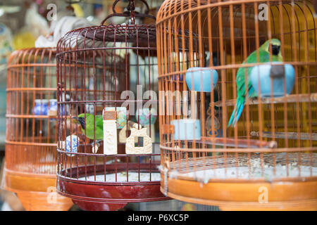 Marché aux oiseaux de Yuen Po Street, Mongkok, Kowloon, Hong Kong Banque D'Images