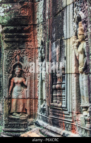 Au Cambodge, les Temples d'Angkor (UNESCO site), Ta Som Temple Banque D'Images