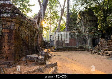 Ta Prohm temple (Rajavihara), Angkor, Site du patrimoine mondial de l'UNESCO, la Province de Siem Reap, Cambodge Banque D'Images