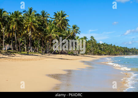 République dominicaine, Péninsule de Samana, Las Terrenas, Playa Copson Banque D'Images