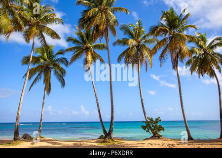 République dominicaine, Samana Peninsula, plage à Las Terrenas Banque D'Images