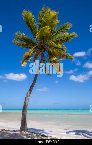 République dominicaine, Punta Cana, Playa Bavaro Beach
