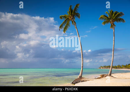 République dominicaine, Punta Cana, Cap Cana, Juanillo Beach Banque D'Images