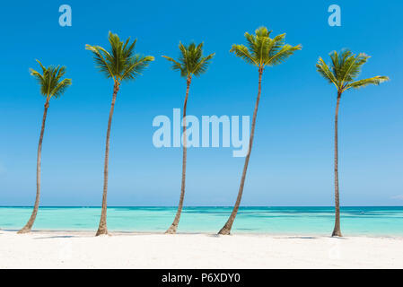 Juanillo Beach (playa Juanillo), Punta Cana, République dominicaine. La plage bordée de palmiers. Banque D'Images