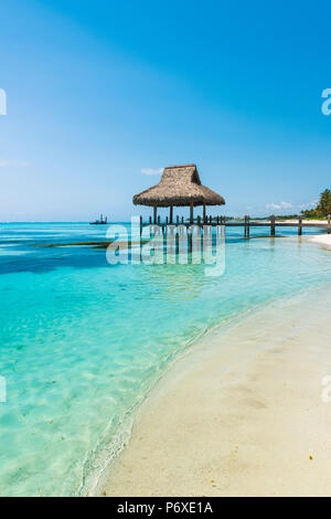 Playa Blanca, Punta Cana, République dominicaine, la mer des Caraïbes. Hutte de chaume sur la plage. Banque D'Images