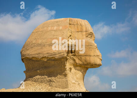 Sphinx, pyramides de Gizeh, Giza, Le Caire, Egypte Banque D'Images