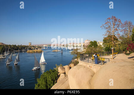 L'Égypte, de la Haute Égypte, Assouan, vue sur jardin et Fryal Nil Banque D'Images