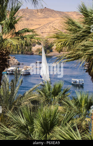 L'Égypte, de la Haute Égypte, Assouan, Les Jardins de l'hôtel Old Cataract Banque D'Images