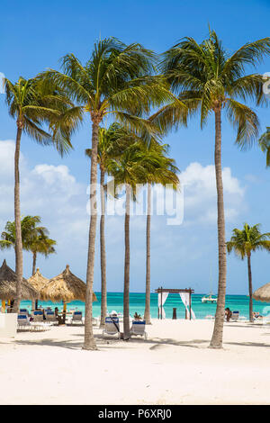 Caraïbes, Antilles néerlandaises, Aruba, palm beach Banque D'Images