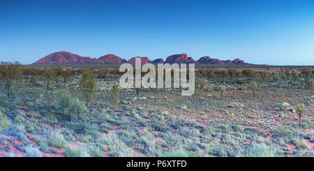 Kata Tjuta / les Olgas (Site du patrimoine mondial de l'UNESCO), Parc National d'Uluru-Kata Tjuta, Territoire du Nord, Australie Banque D'Images