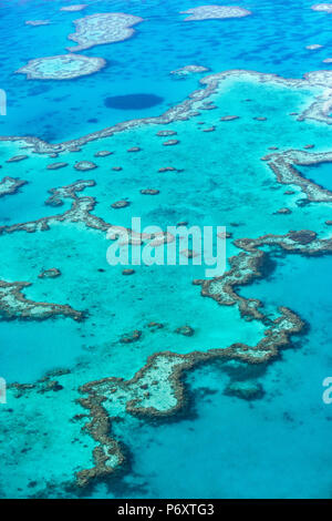 Coeur de corail de la Grande Barrière de Corail à partir de ci-dessus, Queensland, Australie. Banque D'Images