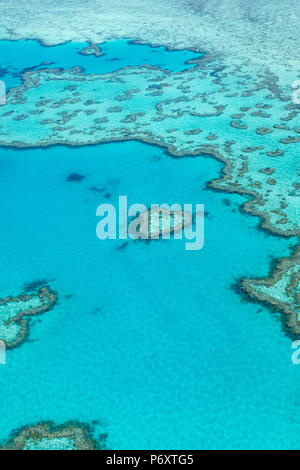 Coeur de corail de la Grande Barrière de Corail à partir de ci-dessus, Queensland, Australie. Banque D'Images