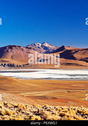 La Bolivie, Potosi, Ministère Sur Lipez Province, vue vers Laguna Morejon et le Volcan Uturuncu. Banque D'Images