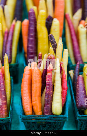 Le Canada, l'Ontario, Ottawa, capitale du Canada, du marché By, multi-carottes de couleur Banque D'Images