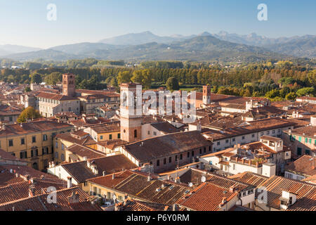 Une vue aérienne de Lucques, Toscane Banque D'Images