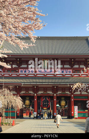 Japon, Tokyo, Asakusa, Temple bouddhiste Senso-Ji (le plus ancien de Tokyo) pendant la saison des cerisiers en fleur Banque D'Images