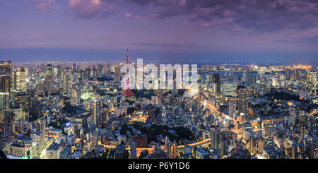 Japon, Tokyo, vue aérienne de la ville et la Tour de Tokyo Banque D'Images