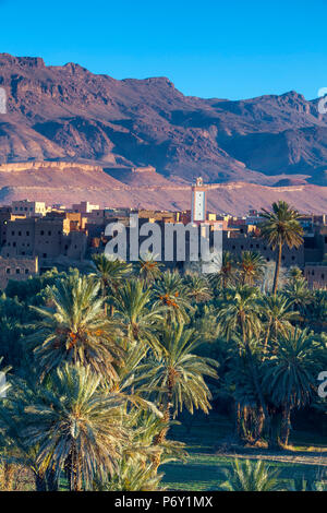 Tinerhir Kasbahs & Palmery, Tinghir, Maroc Banque D'Images