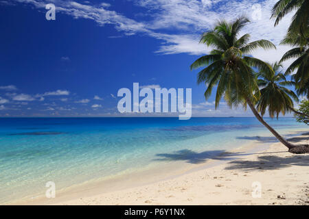 Les Maldives, South Ari Atoll, Mandhoo Island Banque D'Images
