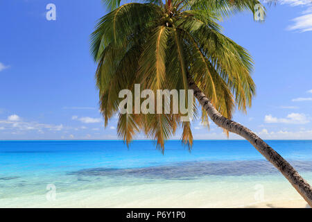 Les Maldives, South Ari Atoll, Mandhoo Island Banque D'Images