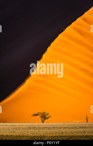 Sossusvlei, Namib-Naukluft National Park, Namibie, Afrique. Dunes de sable géantes. Banque D'Images