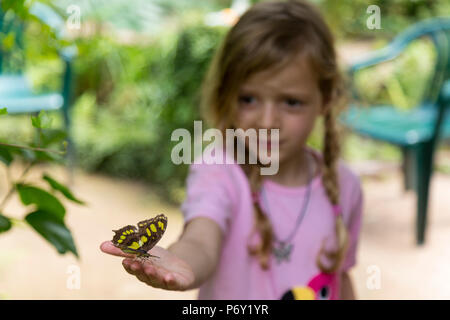 Papillon tacheté jaune et une fille. Profondeur de champ. Plan moyen. Banque D'Images