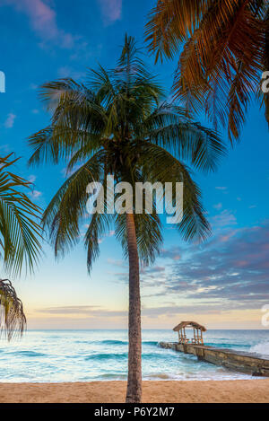 Caraïbes, Trinité-et-Tobago, Tobago, Sandy Point Banque D'Images