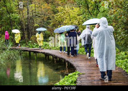 Les touristes portant un manteau de la forêt matin pluvieux avec dark light / Un imperméable groupe habillé marcher dans la forêt avec la pluie. Banque D'Images