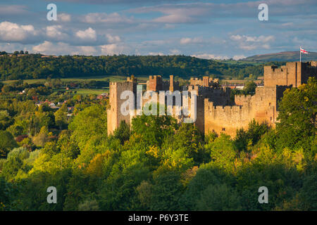Royaume-uni, Angleterre, Shropshire, Ludlow, Ludlow Castle Banque D'Images