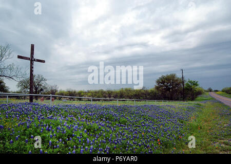 Domaine de la croix avec Bluebonnets sous ciel nuageux Banque D'Images