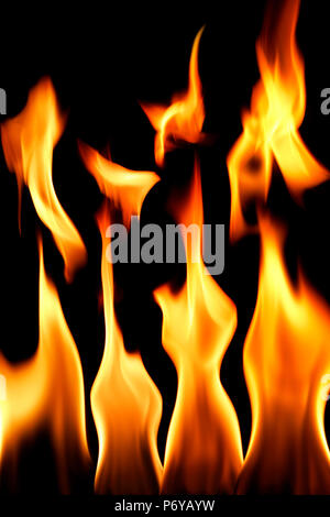 Close up shot of fire flames en noir Banque D'Images