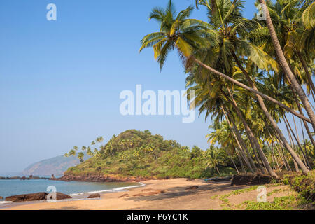 L'Inde, Goa, Cola beach Banque D'Images