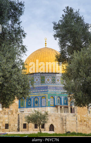 Israël, Jérusalem, le Mont du Temple, Dôme du Rocher Banque D'Images