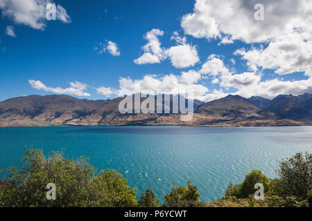 Nouvelle Zélande, île du Sud, de la région de l'Otago, Wanaka, Wanaka Lake Banque D'Images